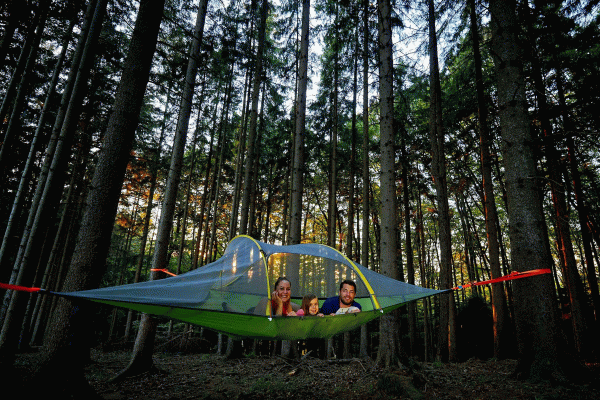 Digitaler Impfausweis Freie Fahrt Fr Geimpfte Brger