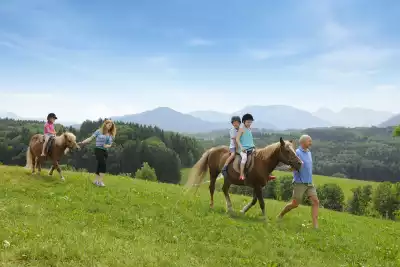 Bambini-Stalldiplom Bergbauernhof Familienurlaub Oberbayern