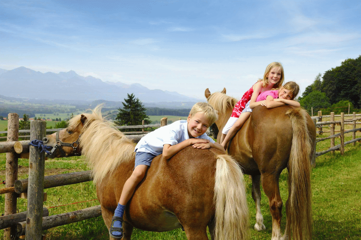 Landleben Ausreiten Spaziergang mit Ponys Daxlberger Hof
